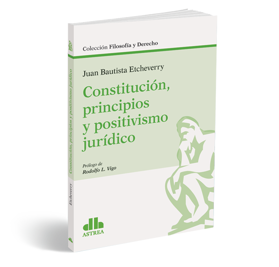 CONSTITUCIÓN , PRINCIPIOS Y POSITIVISMO  JURÍDICO