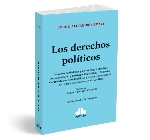 LOS DERECHOS POLITICOS