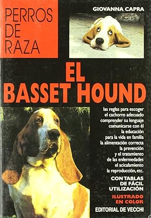 BASSET HOUND (PERROS DE RAZA)