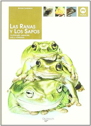 RANAS Y LOS SAPOS MORFOLOGIA ESPECIES CRIA Y CIUDADANIA