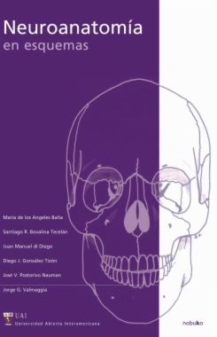 neuroanatomia en esquemas