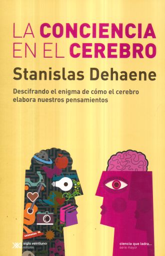 Conciencia en el cerebro