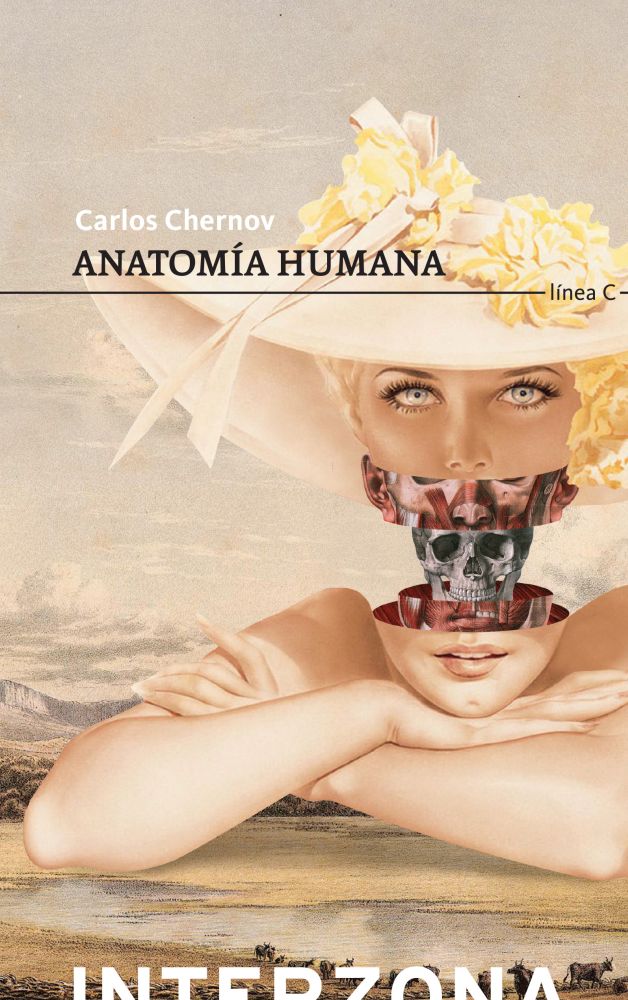 ANATOMÍA HUMANA