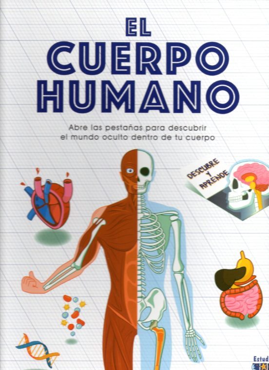 EL CUERPO HUMANO