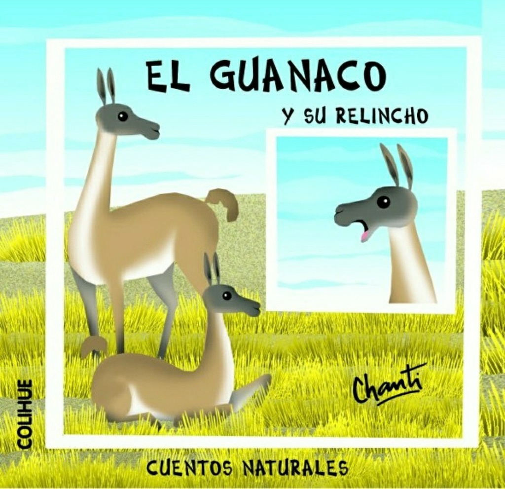 EL GUANACO