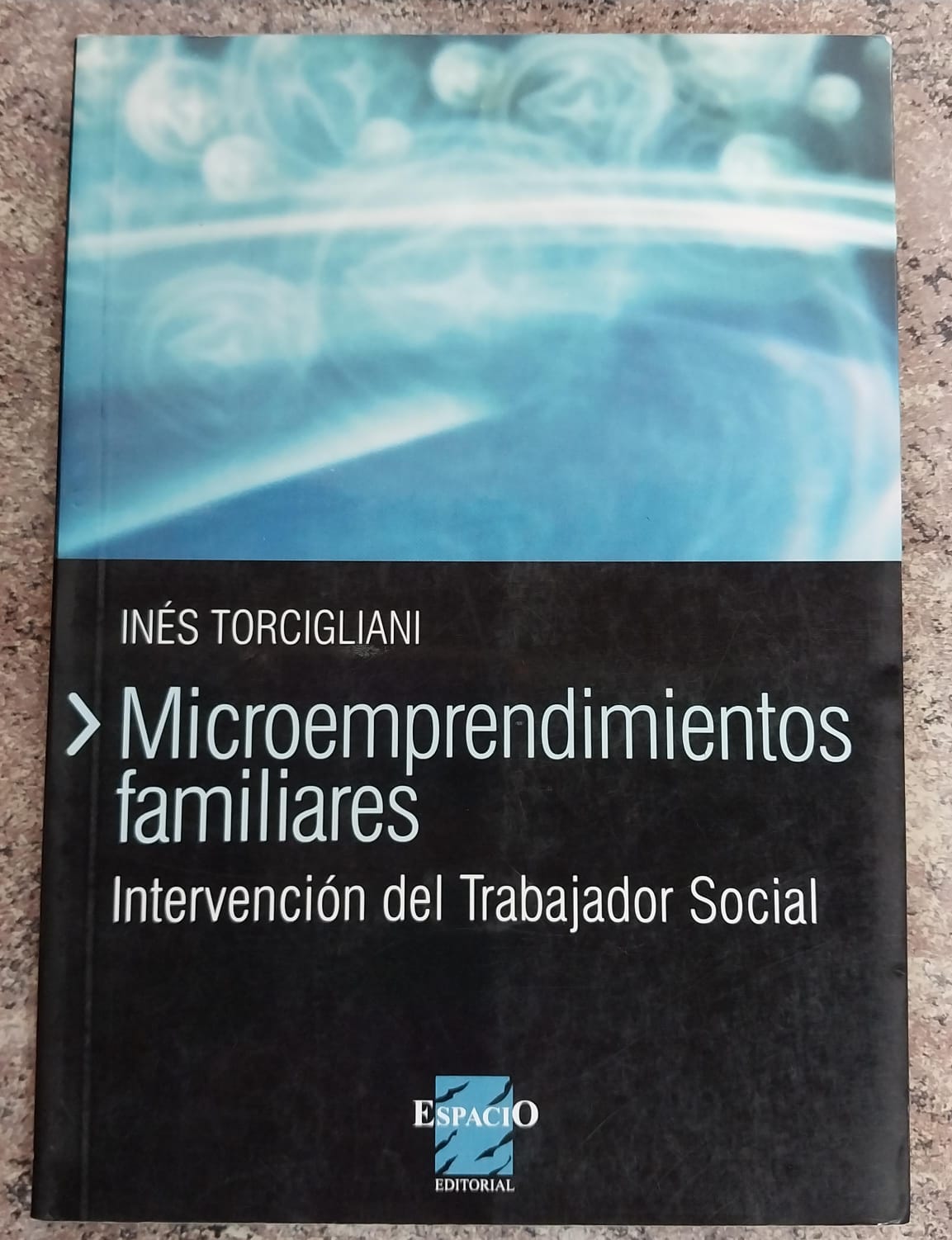 MICROEMPRENDIMIENTOS FAMILIARES