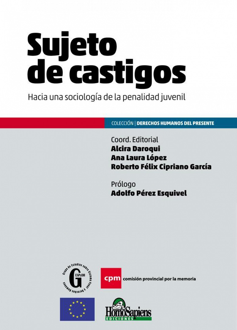 Sujeto de castigos. Hacia una sociología de la penalidad juvenil