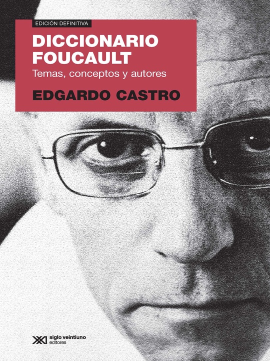 DICCIONARIO FOUCAULT. TEMAS CONCEPTOS Y AUTORES