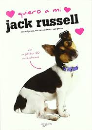 QUIERO A MI JACK RUSSELL