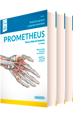 Prometheus. Texto y Atlas de Anatomía (3tomos)