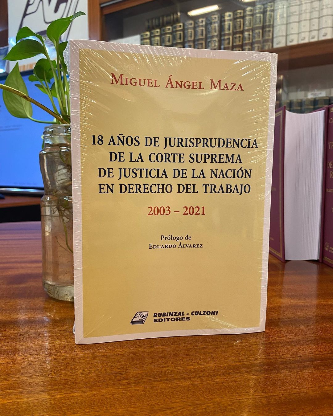 18 años de Jurisprudencia de la Corte Suprema de Justicia de la Nación en Derecho del Trabajo - 2003-2021